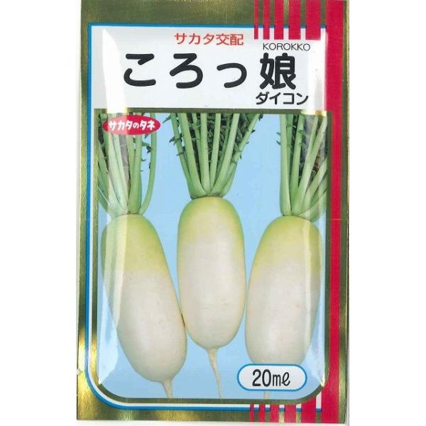 ~j卪  20ml ijTJ^̃^l