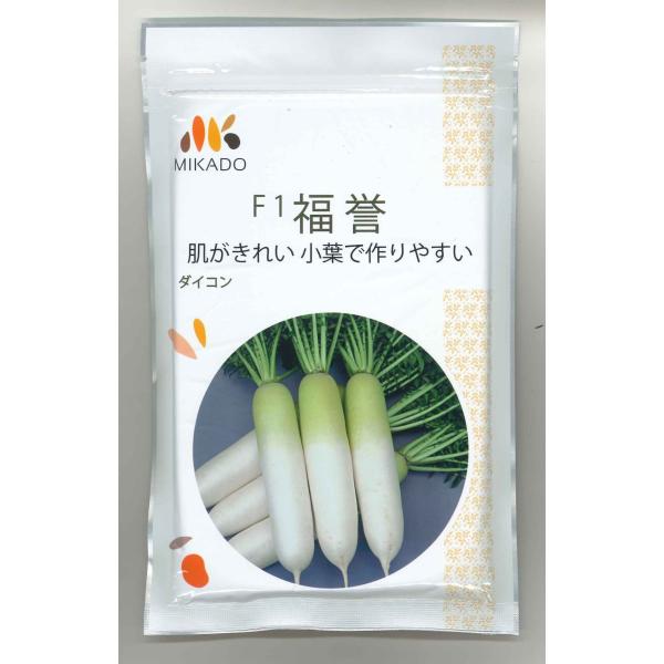 大根 福誉 8000粒 ヴィルモランみかど（株） : グリーンロフトネモト
