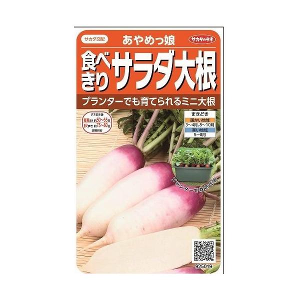 ~j卪 ߂ 130ij TJ^̃^l 450(003075)