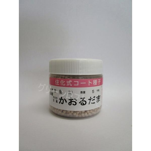 Lxc 邾 ybgq5000 ijTJ^̃^l