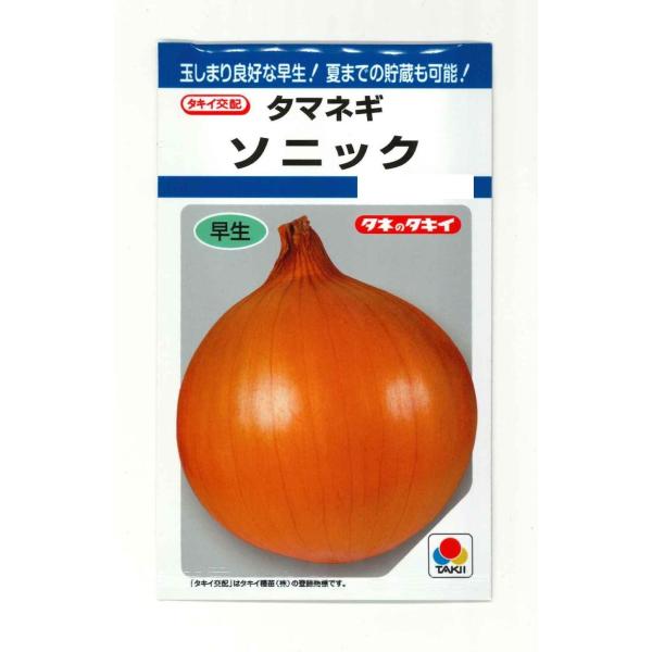 玉ねぎ苗　ソニック たまねぎ ソニック 4.5ml(約520粒) タキイ種苗（株） DF : グリーン