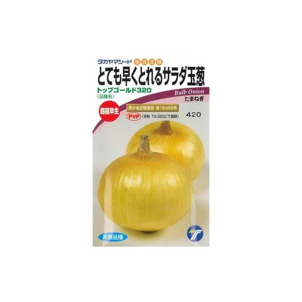 たまねぎ トップゴールド320 3.5ml（株）タカヤマシード