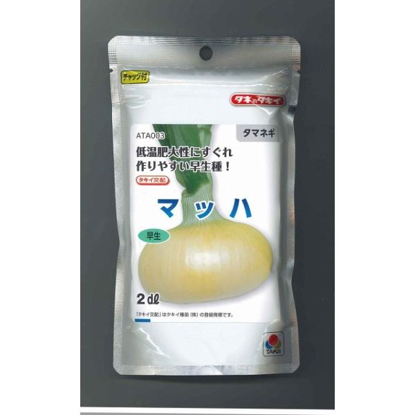 玉ねぎ苗⭕️早生品種マッハ２５００本⭕️【野菜苗】 玉ねぎ苗⭕️O・K黄200本⭕️浜笑300本⭕️赤玉100本⭕️マッハ300本