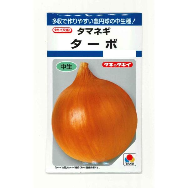 たまねぎ　5個 Amazon.co.jp: Special Cultivation New Onion from Wakayama
