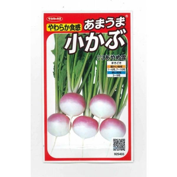  ߐ 600 ijTJ^̃^l 450(003100)