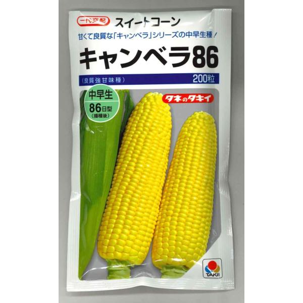 野菜種  とうもろこし　キャンベラ86　甘くて良質な「キャンベラ」シリーズの中早生種！種・苗・農業資材品揃え豊富！農家さん御用達のお店　グリーンロフトネモト