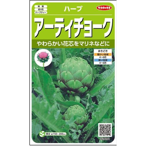 ハーブの種　アーティチョークやわらかい花芯をマリネなどに！種・苗・農業資材品揃え豊富！農家さん御用達のお店　グリーンロフトネモト