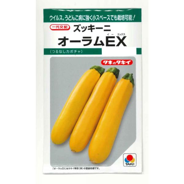 ズッキーニ オーラムEX多収で果形がよく、ウイルス病、うどんこ病に耐病性をもつ黄皮ズッキーニ！種・苗・農業資材品揃え豊富！農家さん御用達のお店　グリーンロフトネモト