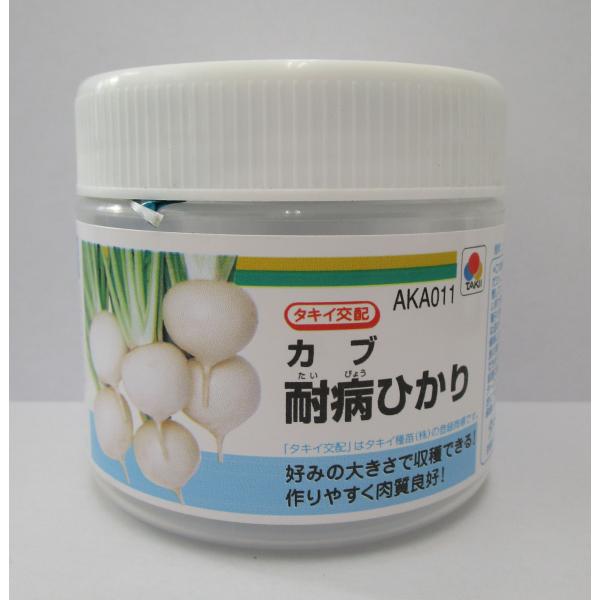 野菜種　かぶ　耐病ひかり　肌はツヤがあり、ス入りや根割れの心配は少ない種・苗・農業資材品揃え豊富！農家さん御用達のお店　グリーンロフトネモト