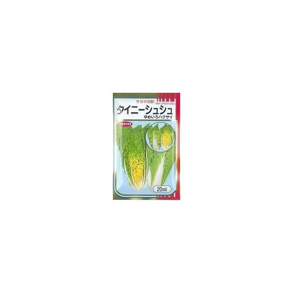  ^Cj[VV 20ml ijTJ^̃^l