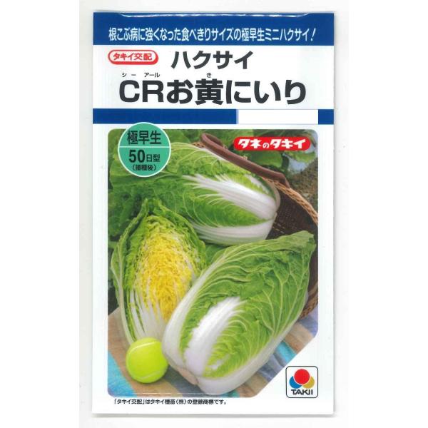 野菜種　白菜　CRお黄にいり小さい面積でも密植できます。種・苗・農業資材品揃え豊富！農家さん御用達のお店　グリーンロフトネモト