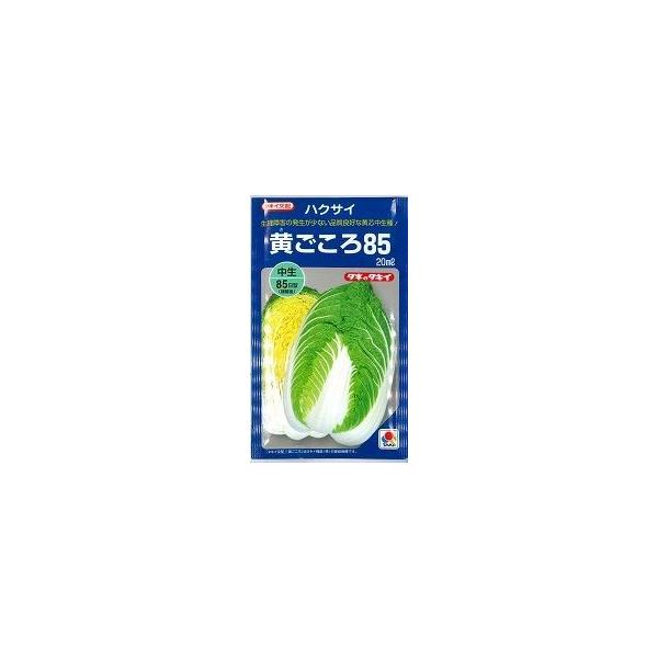 白菜 黄ごころ85 20ml タキイ種苗（株）
