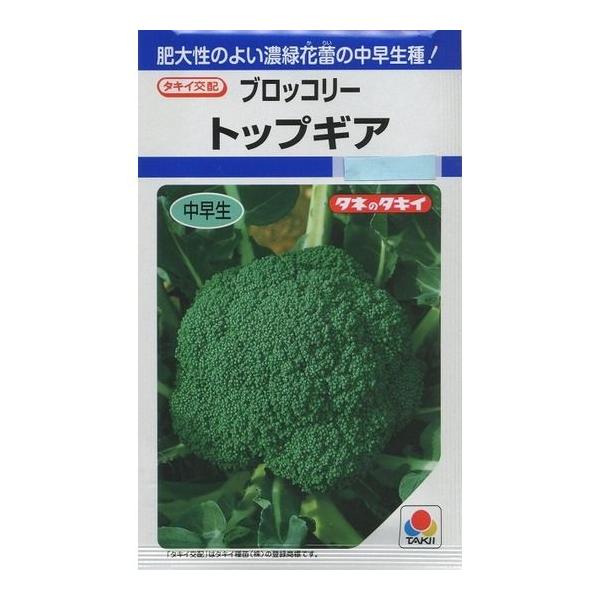 ブロッコリー トップギア 1 1ml タキイ交配 ｄｆ 2563 グリーンロフトネモト 通販 Yahoo ショッピング