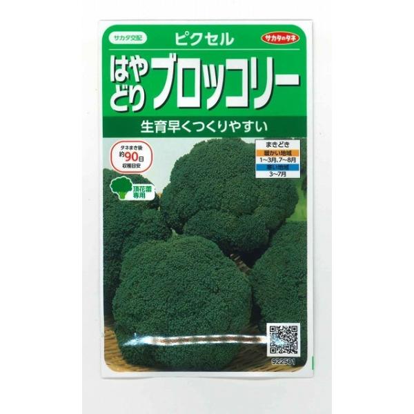 野菜種　ブロッコリー ピクセル種・苗・農業資材品揃え豊富！農家さん御用達のお店　グリーンロフトネモト