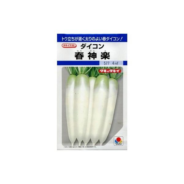 卪 t_y 3.5ml ^LCcij DF