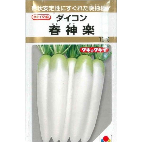 1割引き！　野菜種　大根　春神楽尻づまり良好で根形が安定胴太りになりにくく、尻づまりも良好で根形が安定し、根姿が美しい。種・苗・農業資材品揃え豊富！農家さん御用達のお店　グリーンロフトネモト
