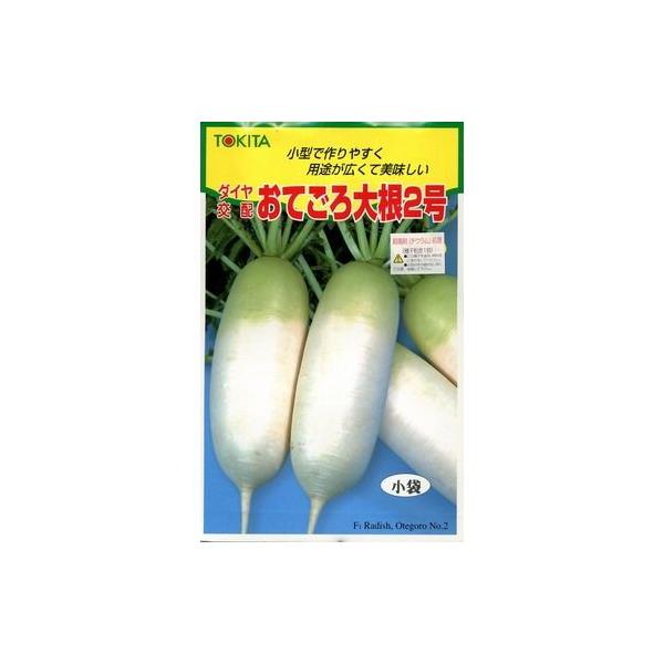 ~j卪 Ă卪 2 2mlgL^c