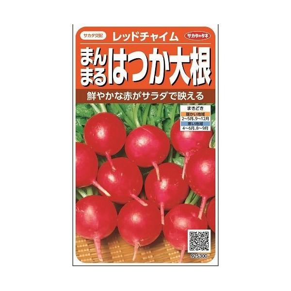 \卪 ͂ bh`C 350 ijTJ^̃^l 350(003093)