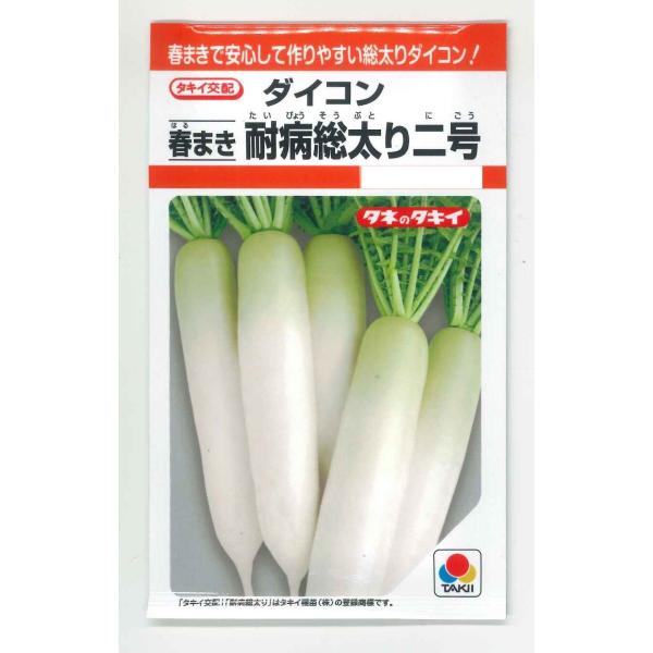 大根 春まき 耐病総太り二号 3.5ml タキイ交配 RF :2590:グリーンロフトネモト 通販 ダイコン:青首ダイコン(大根) 耐病総太り 野菜タネ