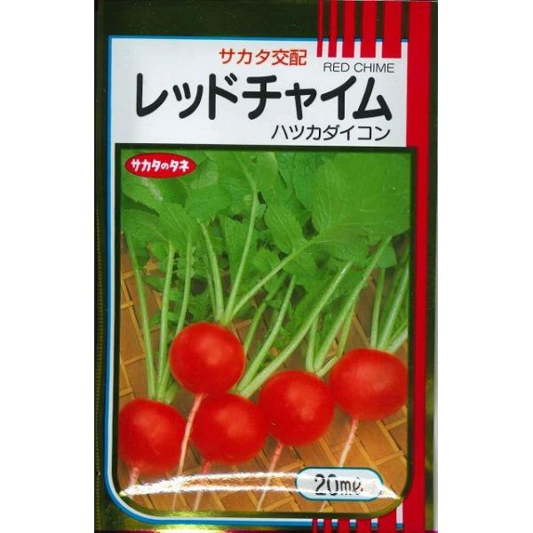 \卪 bh`C 20ml ijTJ^̃^l