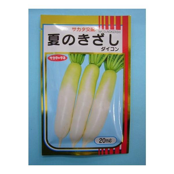 卪 Ă̂ 20ml ijTJ^̃^l