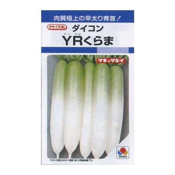 大根 ＹＲくらま 8ml タキイ種苗 (株) DF