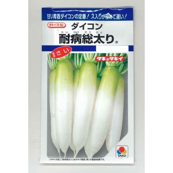 野菜種　大根　耐病総太り秋の適期栽培では根長38cm、根径8cm程度によく整う。種・苗・農業資材品揃え豊富！農家さん御用達のお店　グリーンロフトネモト
