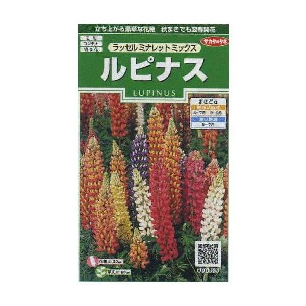 Ԃ̎ siX bZ~ibg~bNX 20 ijTJ^̃^l 250(026299)