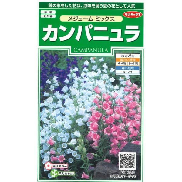 Ԃ̎ Jpj W[~bNX 210 ijTJ^̃^l 250(026220)