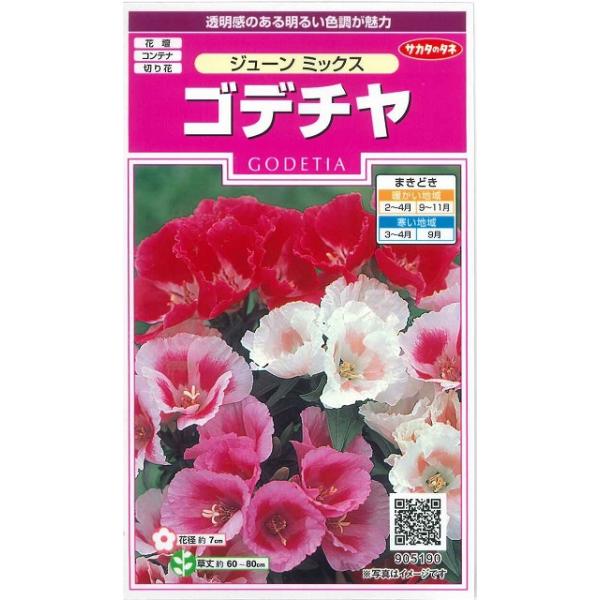 Ԃ̎ Sf` W[~bNX 62 ijTJ^̃^l 350(026111)