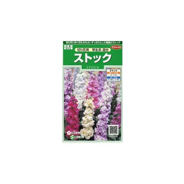 Ԃ̎ XgbN ؂ԗpn 40 ijTJ^̃^l 250(026252)