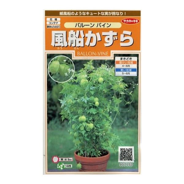 Ԃ̎ D 11 ijTJ^̃^l 200(026350)