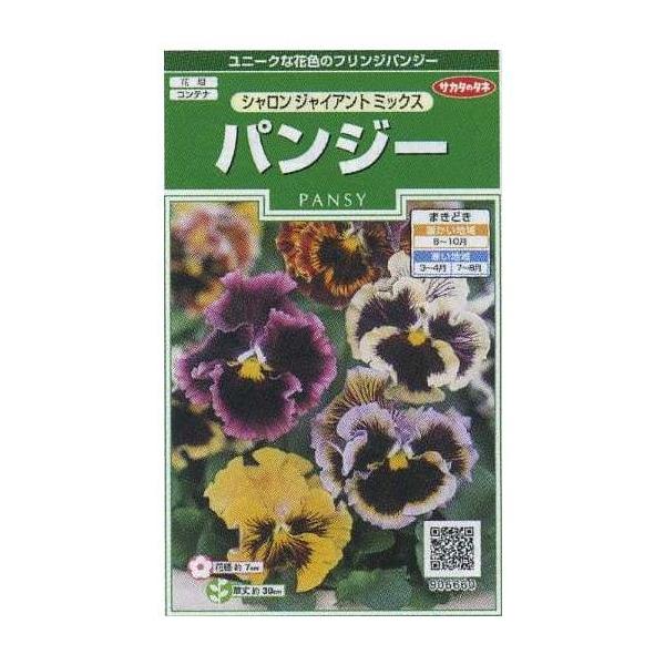 Ԃ̎ pW[ VWCAg~bNX 34 ijTJ^̃^l 250(026267)