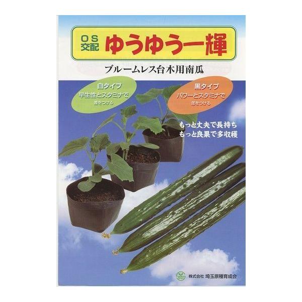 (イp) 䂤䂤P() 350 ijʌ琬