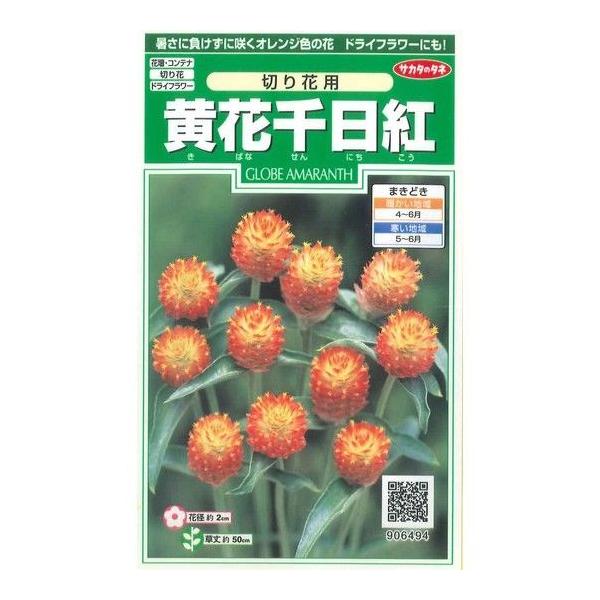 Ԃ̎ Ԑg ؂ԗp 42 ijTJ^̃^l 250(026255)