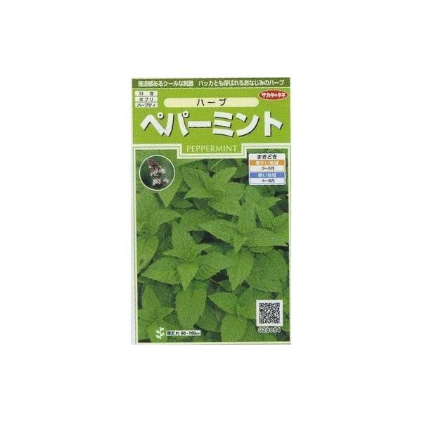 ハーブの種　ペパーミントペパーミントの和名はセイヨウハッカです。スペアミントと並んで西洋種の代表といえます。種・苗・農業資材品揃え豊富！農家さん御用達のお店　グリーンロフトネモト