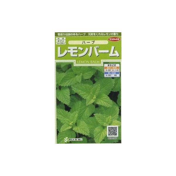 n[u̎ o[ 700 ijTJ^̃^l (003193)