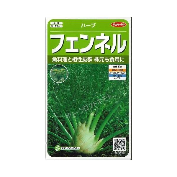 n[u̎ tFl 120ijTJ^̃^l (003189)