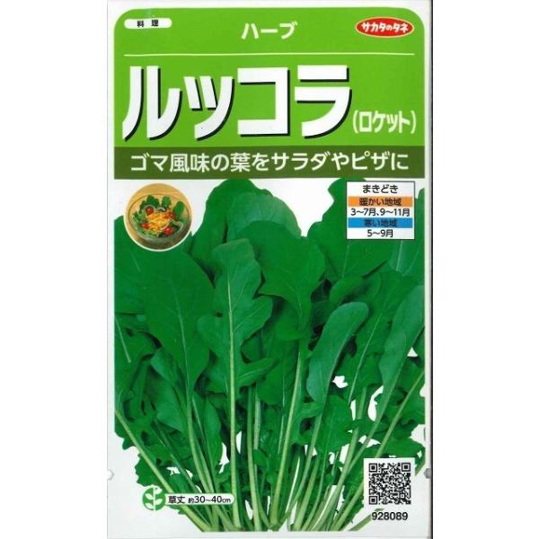 ハーブの種　ロケット（ルッコラ）ゴマ風味の葉をサラダやピザに！種・苗・農業資材品揃え豊富！農家さん御用達のお店　グリーンロフトネモト