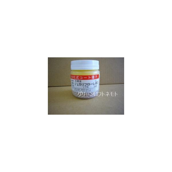 C^A Jt[80 LR[g1000 gL^c