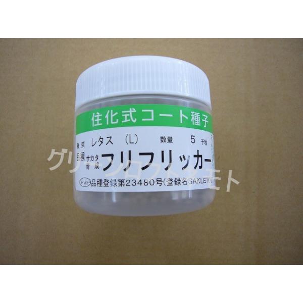 ^X ttbJ[ ybgq5000 ijTJ^̃^l