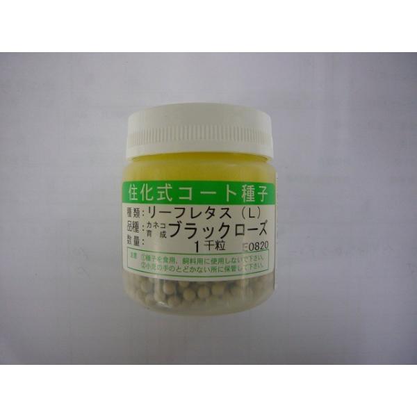 ^X [t^X ubN[Y @1000 JlRcij