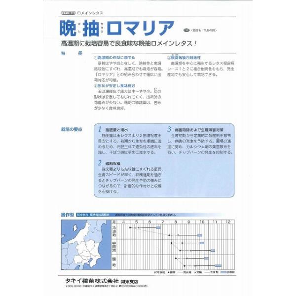 ロメインレタス 晩抽ロマリア ペレット種子１００粒 タキイ交配 Buyee Buyee Japanese Proxy Service Buy From Japan Bot Online
