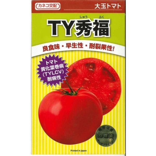 ʃg}g TYG 100 JlRcij