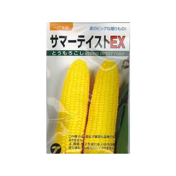野菜種  とうもろこし　サマーテイストＥＸ従来の品種と比べ糖度ののりがよく、種皮が柔らかい。食味は極上です。種・苗・農業資材品揃え豊富！農家さん御用達のお店　グリーンロフトネモト