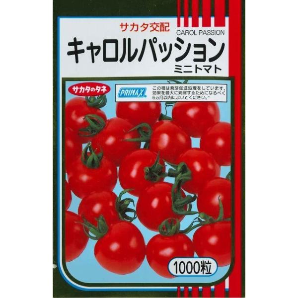 ~jg}g LpbV 1000 ijTJ^̃^l