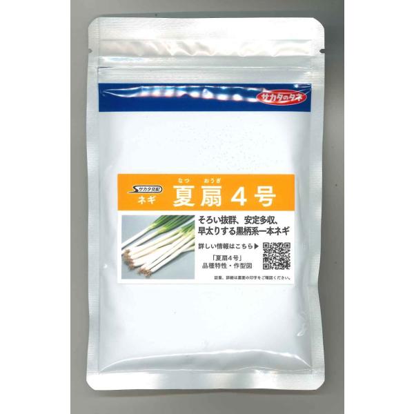 野菜種　ねぎ 夏扇4号プロに人気の扇シリーズです種・苗・農業資材品揃え豊富！農家さん御用達のお店　グリーンロフトネモト