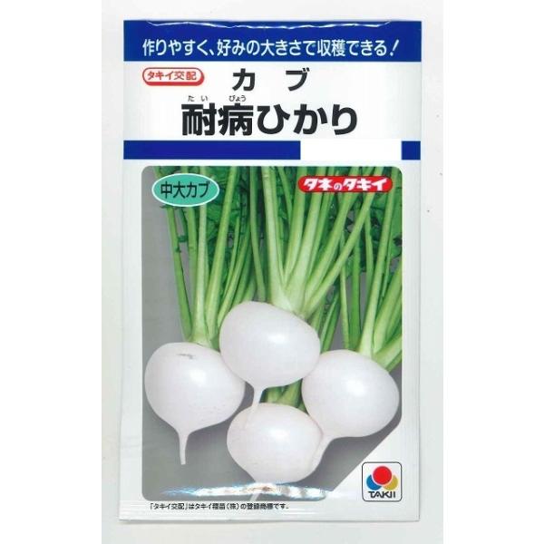  ϕaЂ 6.5ml ^LCcij DF