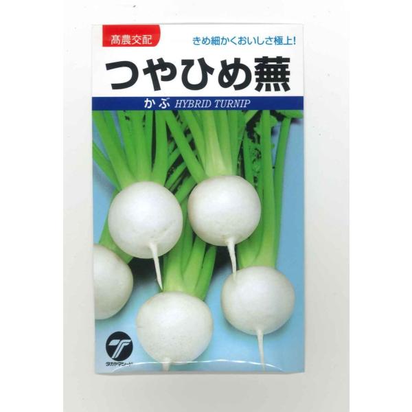  Ђߕ 20ml ij^J}V[h