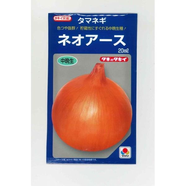 たまねぎ ネオアース 20ml タキイ種苗（株）